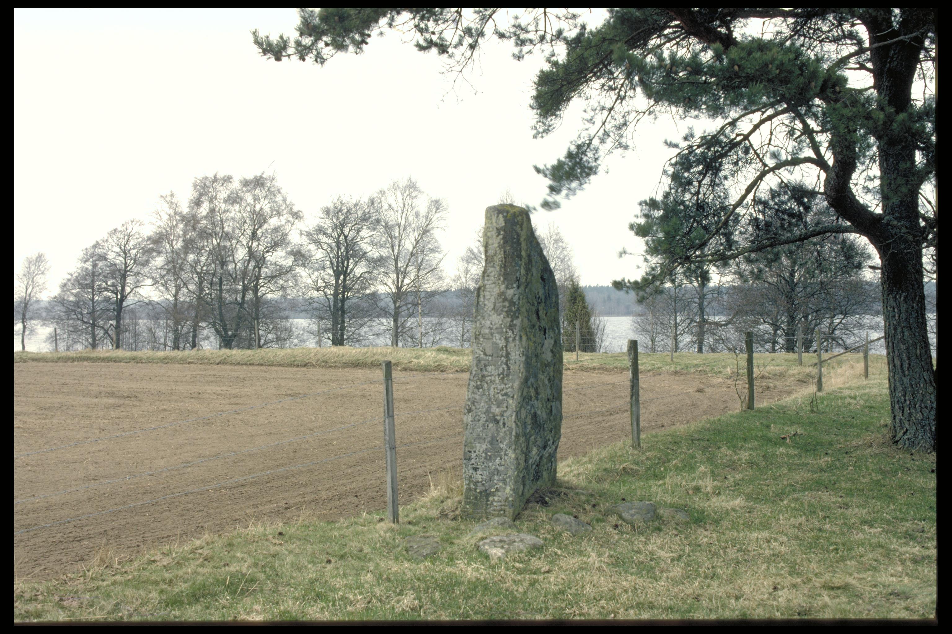 Bengt A Lundberg, Sm42 Tuna