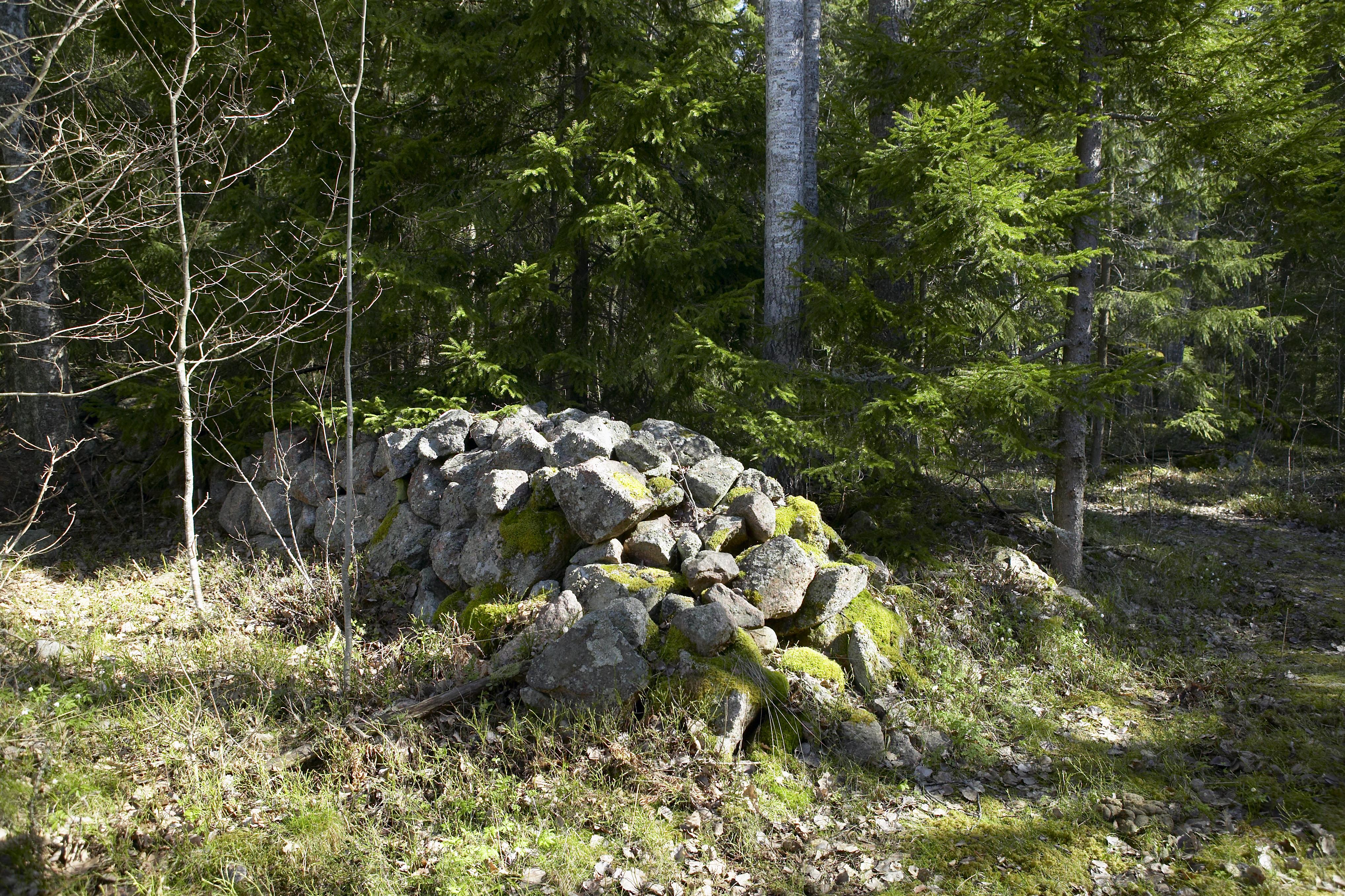 Bengt A Lundberg, Bredforsen