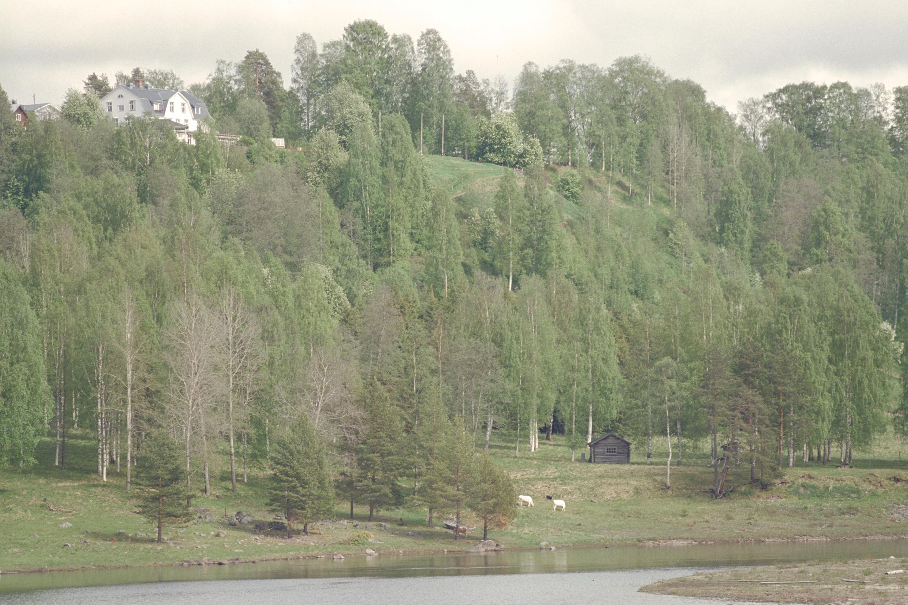 Bengt A Lundberg, Nämforsen, hällristningsområde
