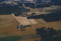 Larv (osäkert motiv)