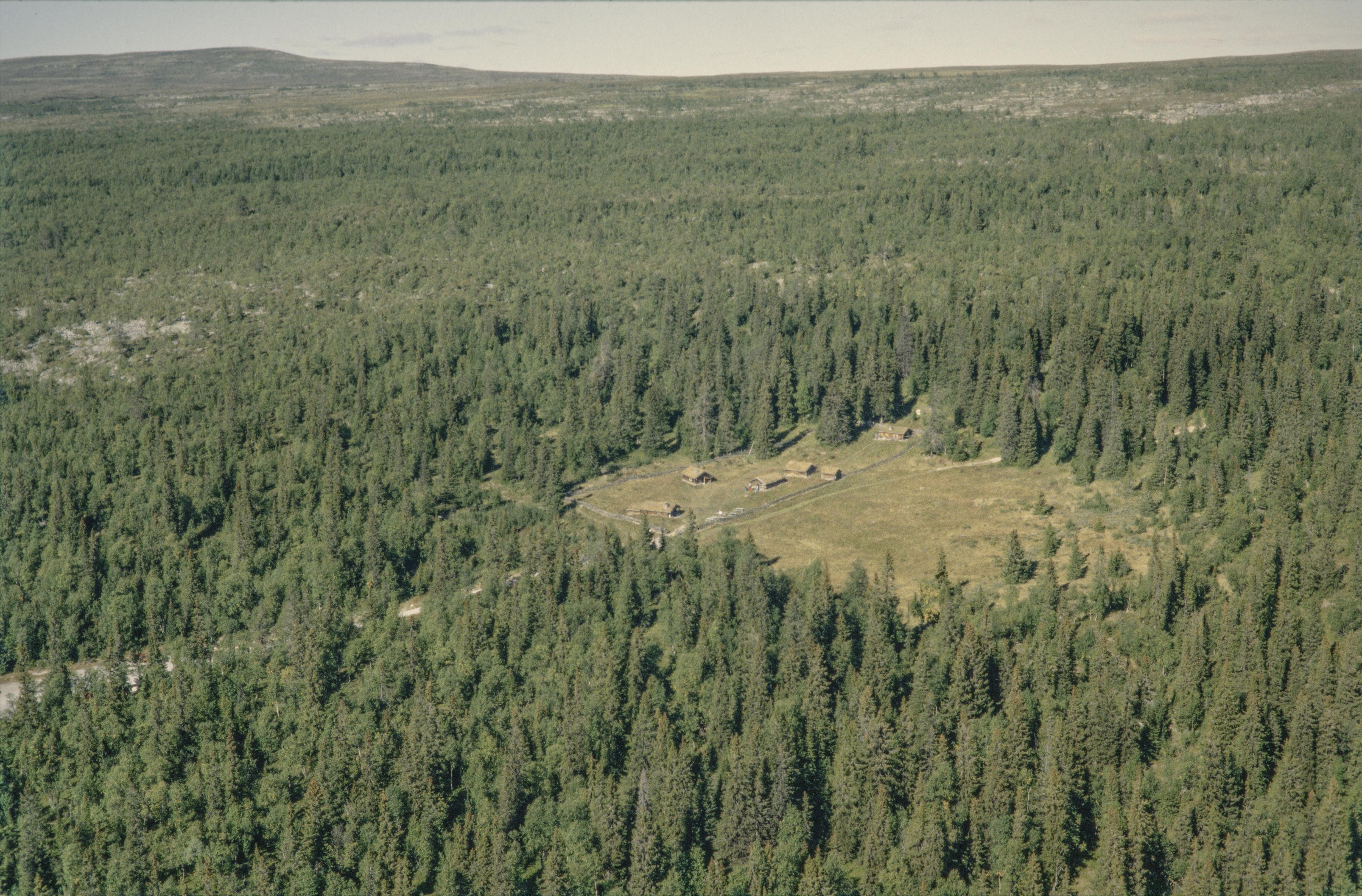 Jan Norrman, Tännäs 63:1