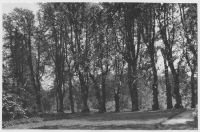 Göteborg, Lärjeholms gård