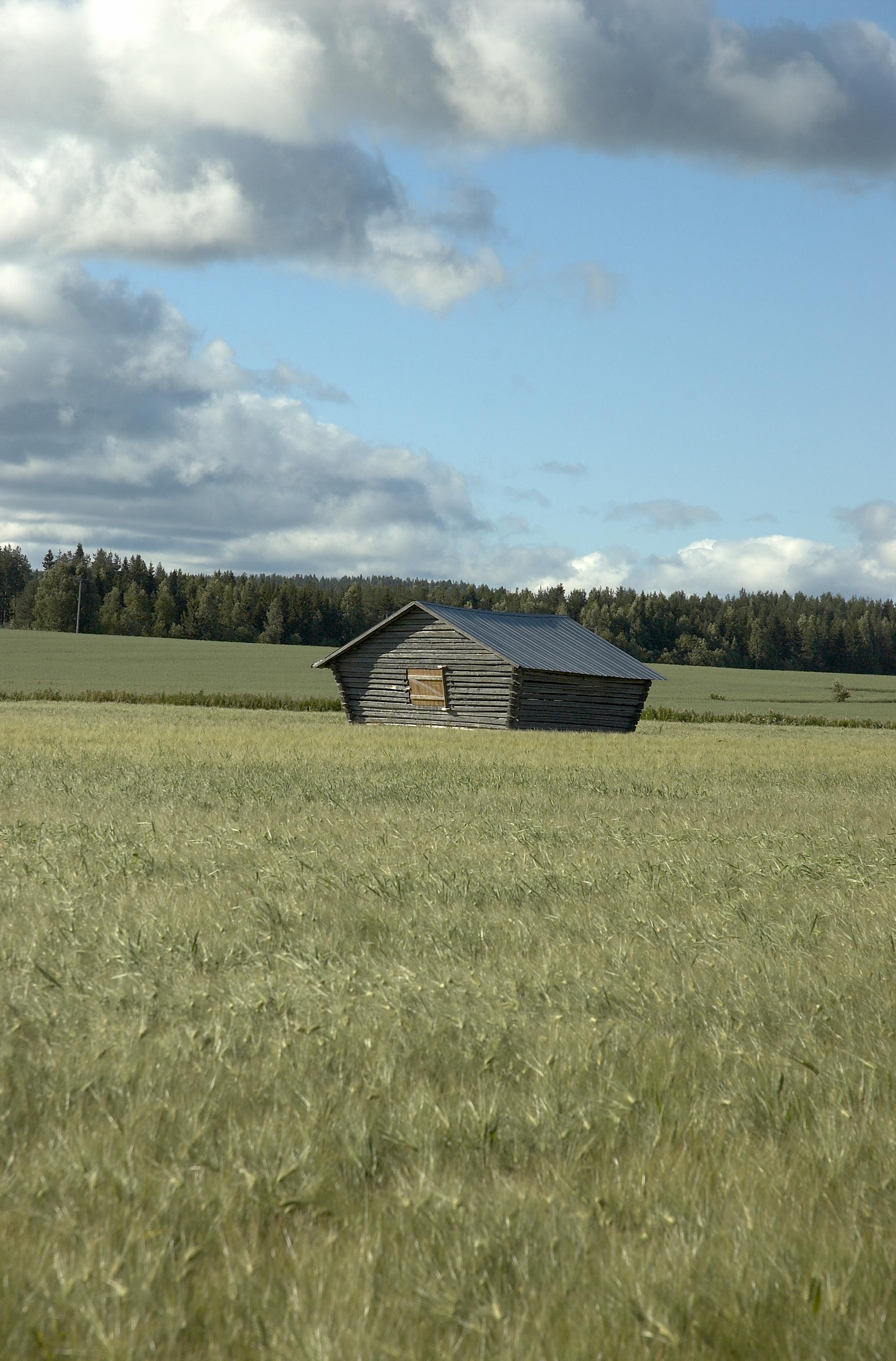 Bengt A Lundberg, Avan