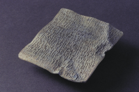 Image of DR NOR1999;21