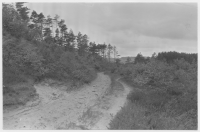 Skummeslövs socken, stränder