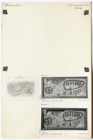 Image of Bo NIYR5;224