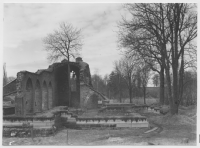 Alvastra klosterruin