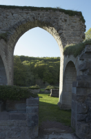 Image of Ög HedvallMenander473