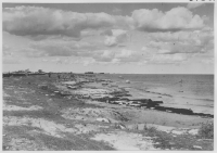 Havsstranden vid Sandby borg