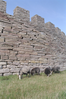 Image of Öl ACTARC37;211