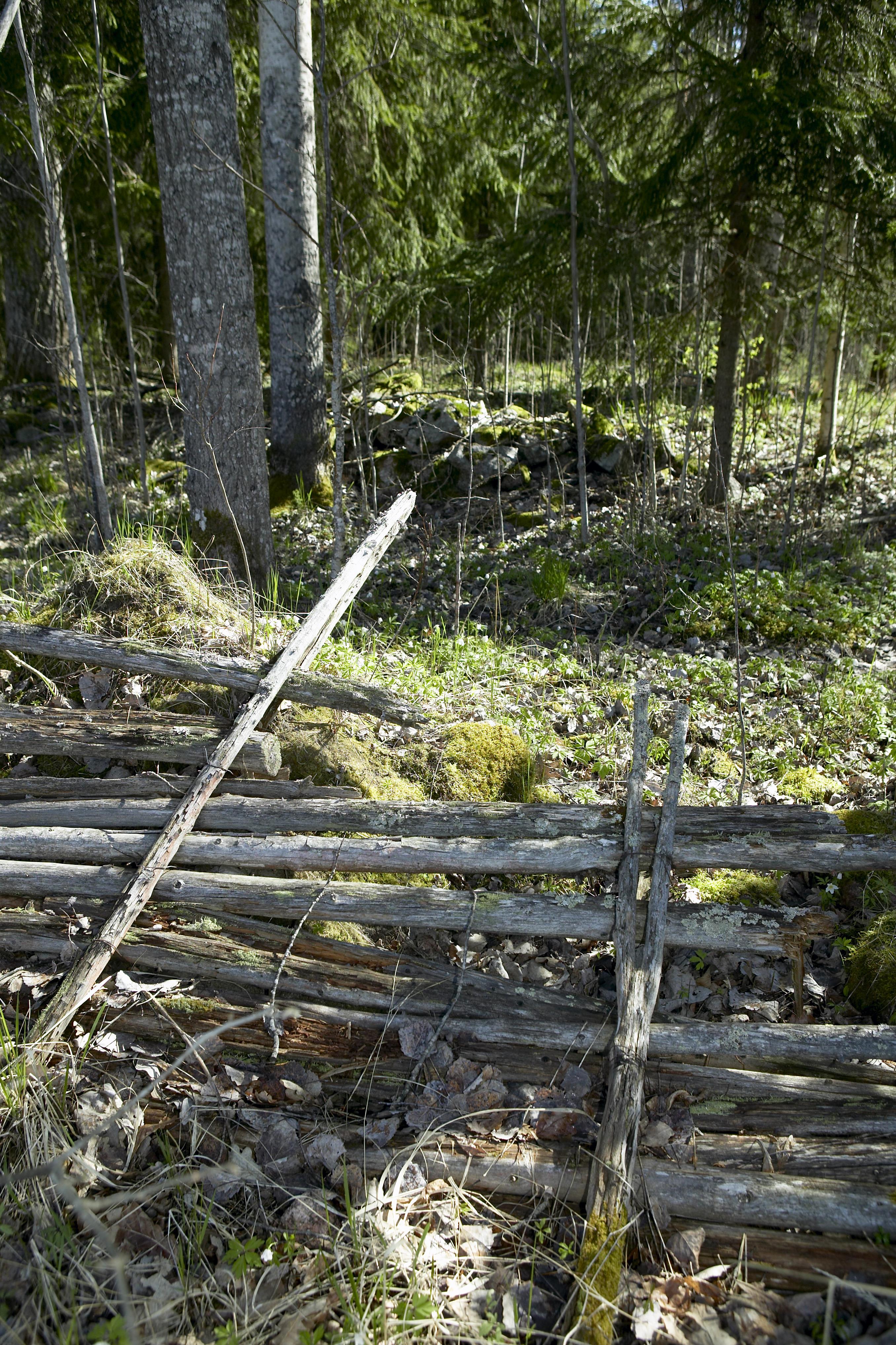 Bengt A Lundberg, Bredforsen