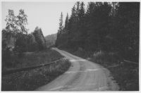 Vägen mellan Åmmeberg och Hammar