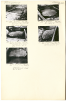 Dalum kyrka. Runsignum Vg 197