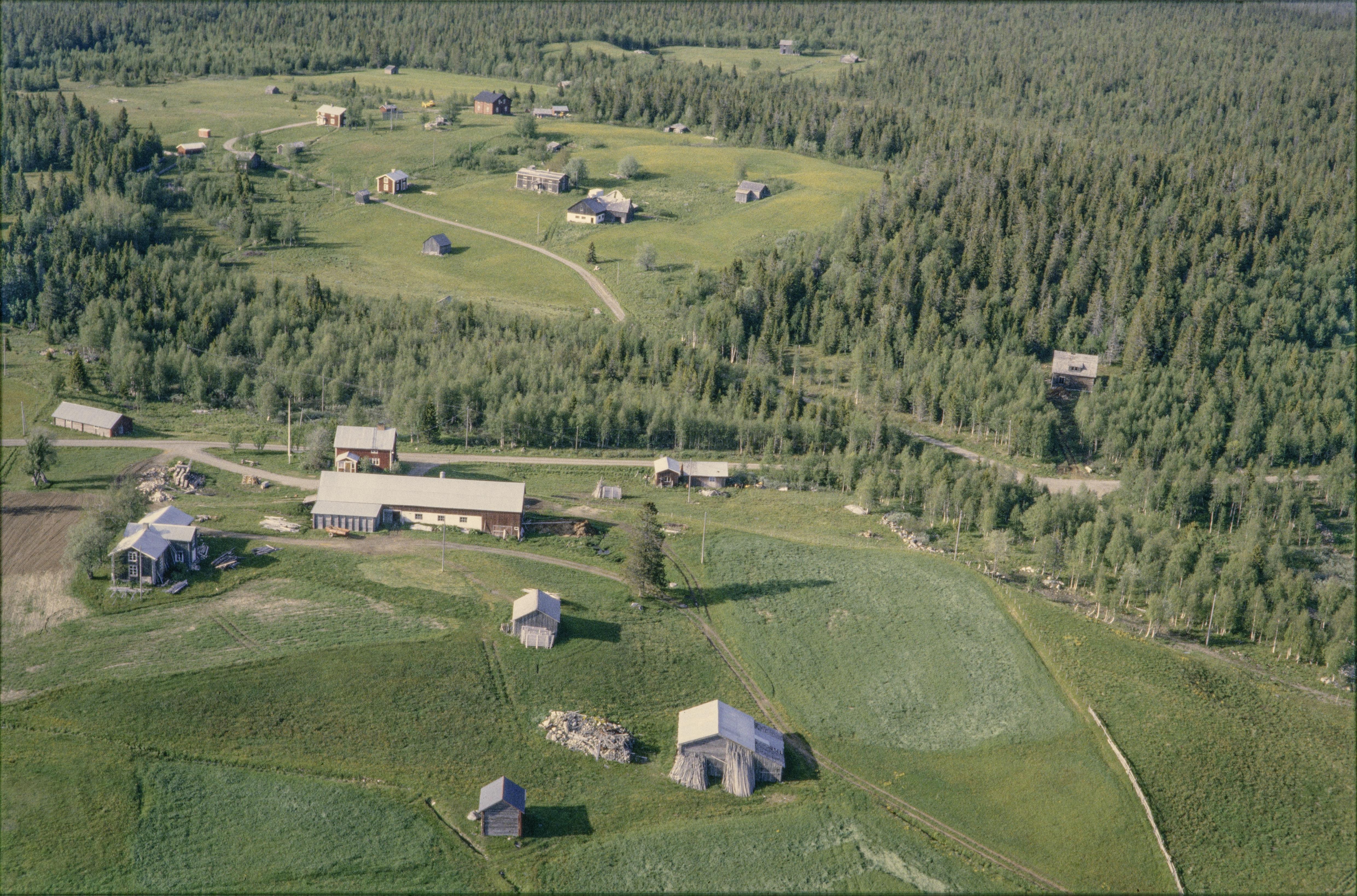 Jan Norrman, Risträsk