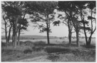 Harplinge socken, åkrar