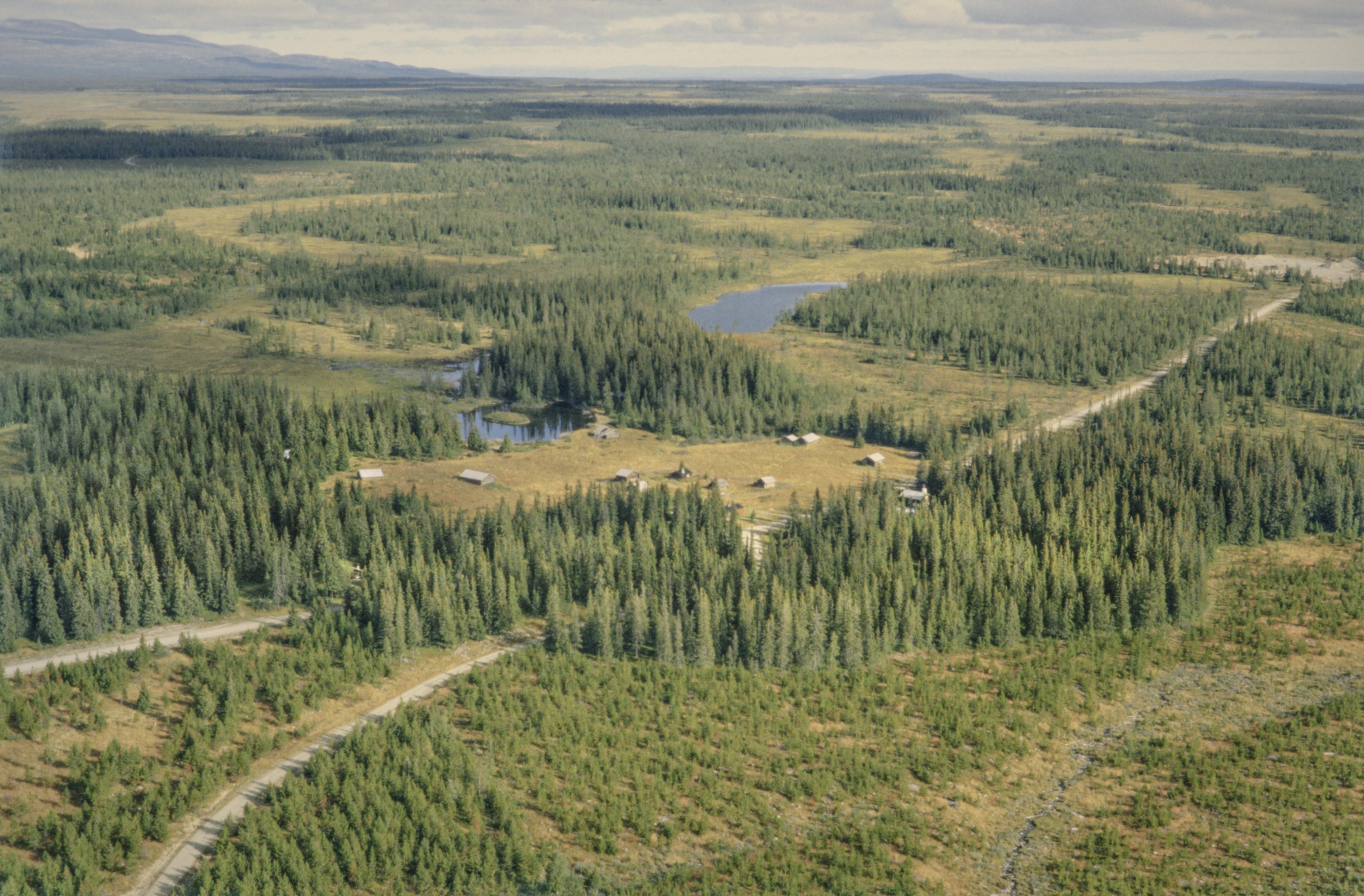 Jan Norrman, Oviken 460