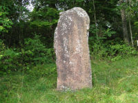 Image of Sö 187
