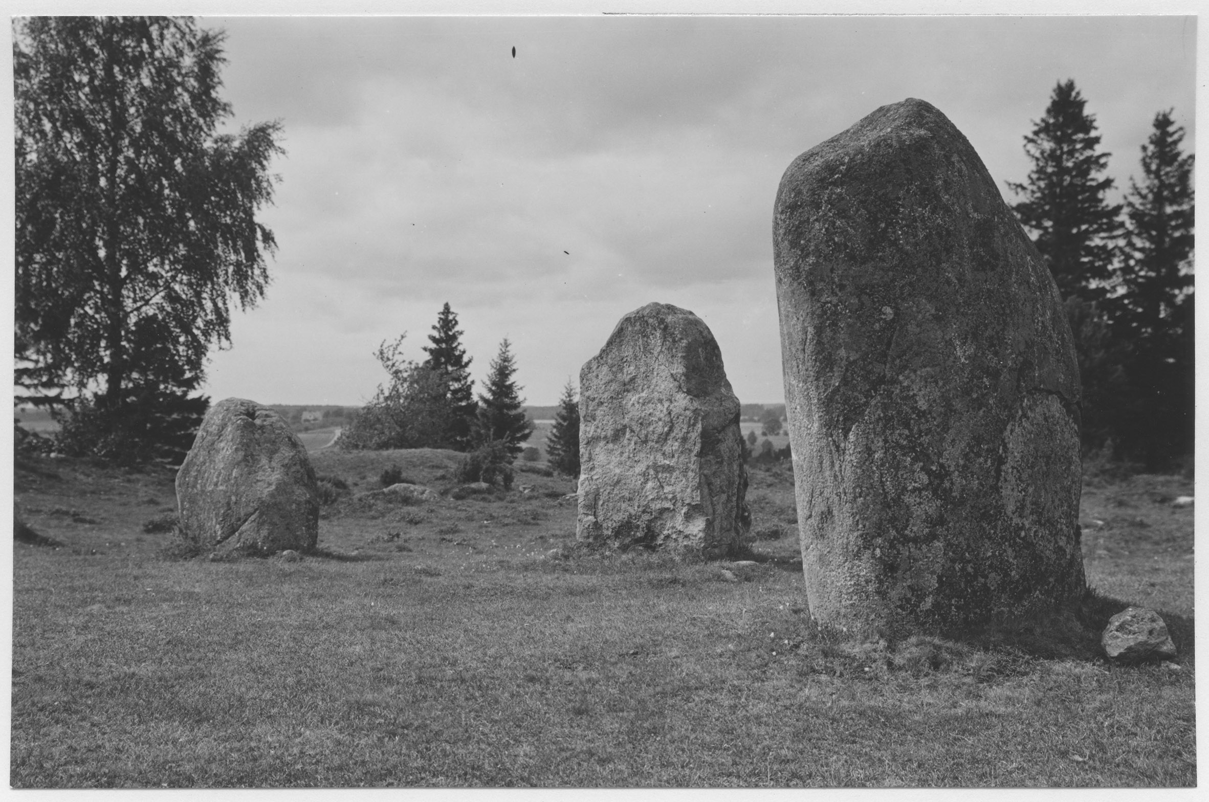 Mårten Sjöbeck, Hjortsberga, gravfält med domarring