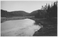 Vägen mellan Åmmeberg och Hammar