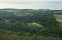 Västra Tollstad 18:1