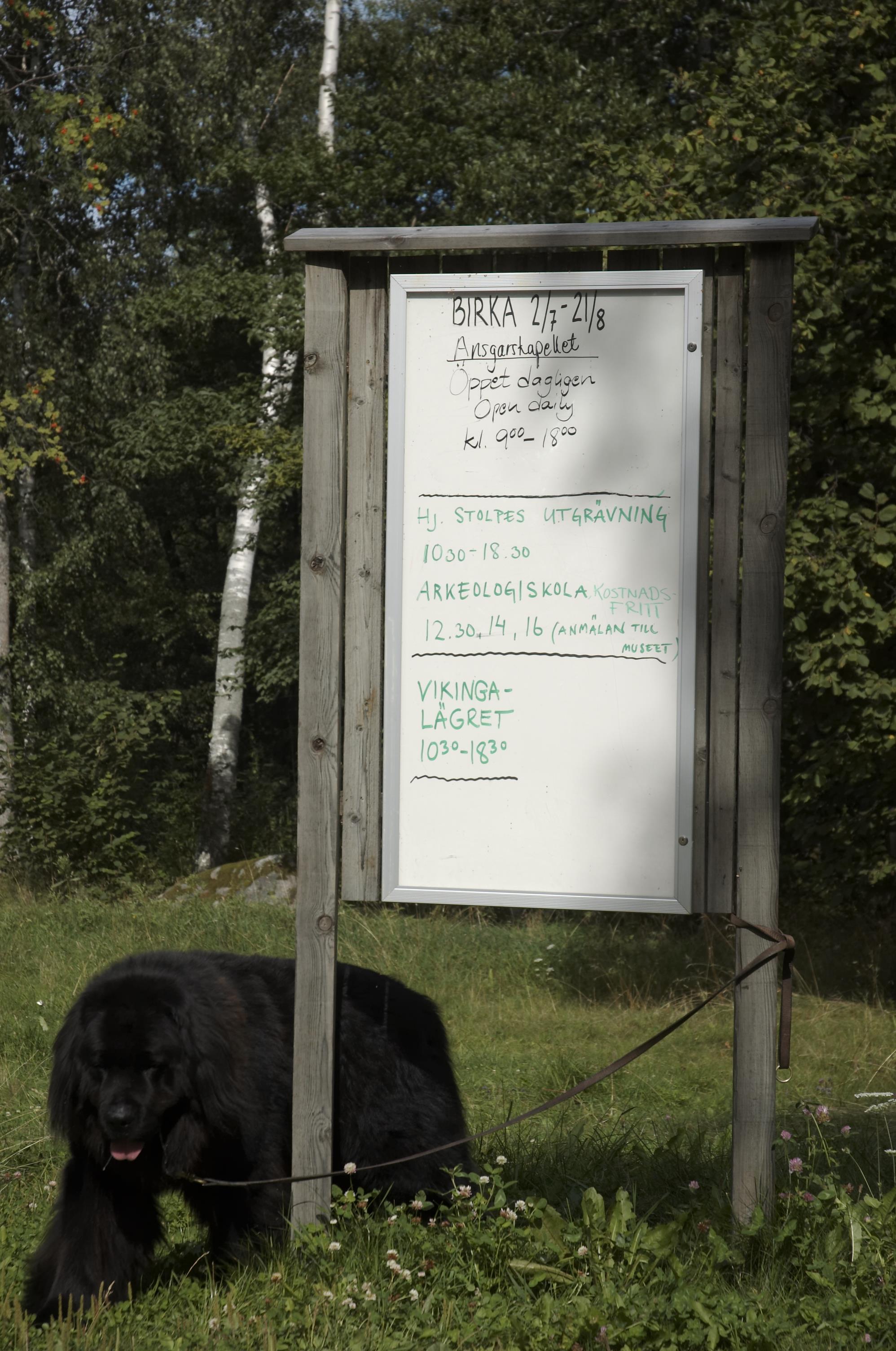 Bengt A Lundberg, Björkö-Birka