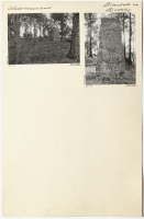 Bjudby. Runsignum Sö 55