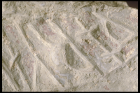 Image of Öl Köping3