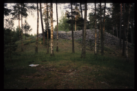 Gåsinge-Dillnäs 8:1