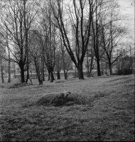 Stockholm, Johanneshovs kolerakyrkogård