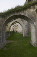 Image of Ög HedvallMenander473