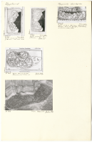 Uppsala Domkyrka. U 922.