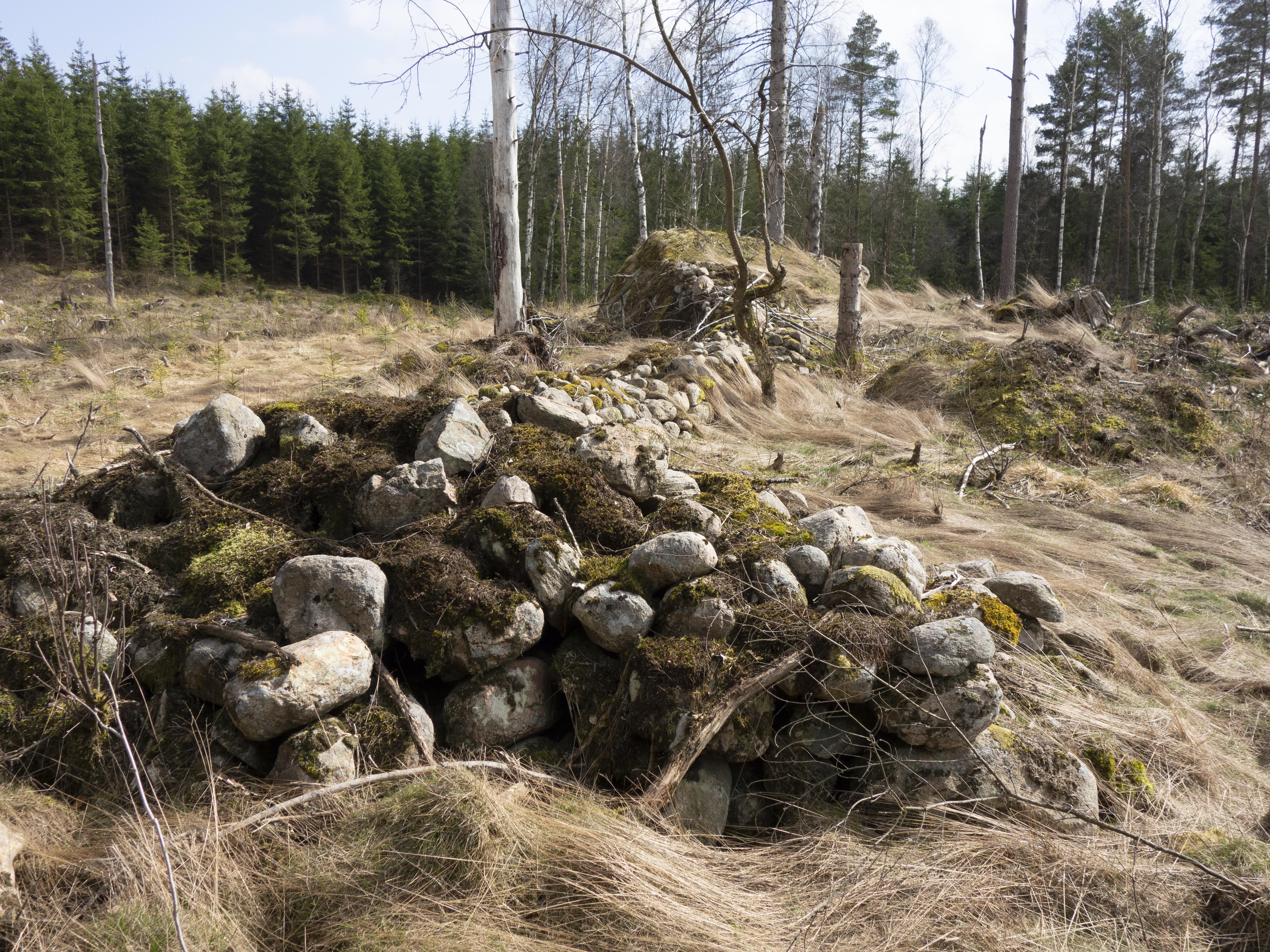 Leif Gren, Femsjö 71:1