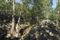 Fornborgen Stora Skansen