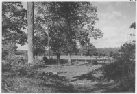 Järnåldersgravfält söder om Toftaholms herrgård