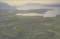 Kiepanjaure - Giehpangielas