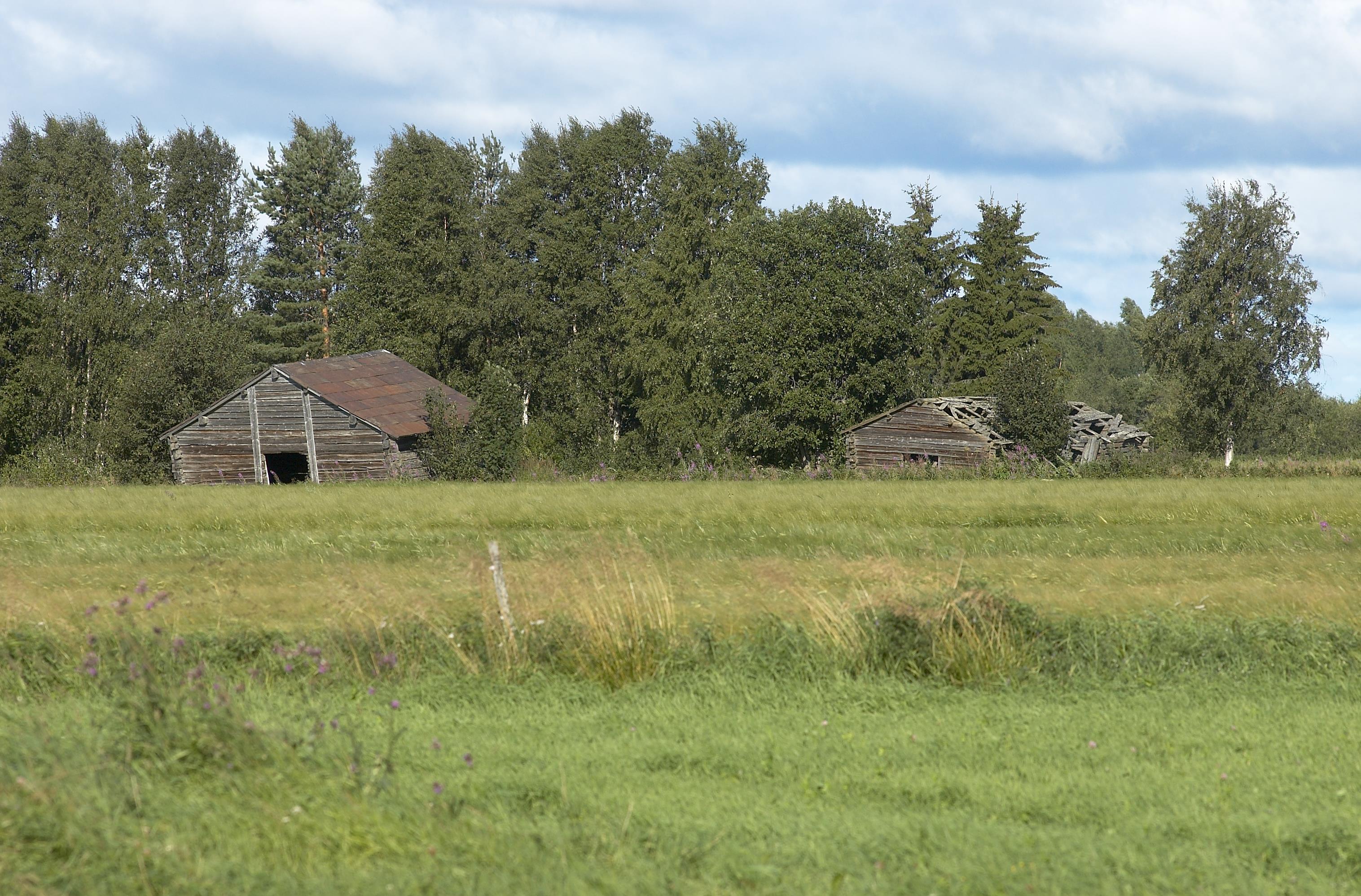Bengt A Lundberg, Avan
