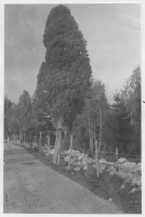 Stenbrohults socken, betesmarker