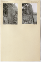 Forsheda kyrkogård. Runsignum Sm 51