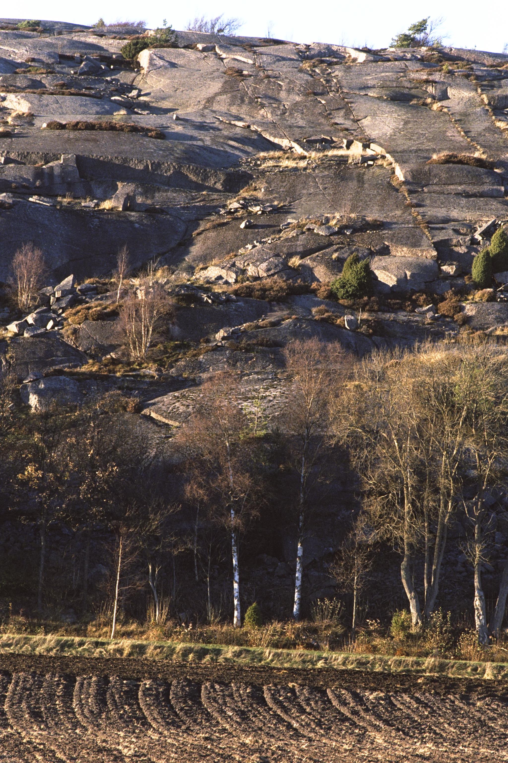 Bengt A Lundberg, Tanum