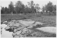 Lovene by, kalksten i ytan