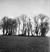 Börringe, Lemmeströ kyrkoruin