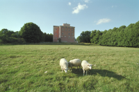 Tynnelsö slott