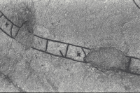 Image of U 58