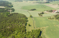 Läby 8:1-4