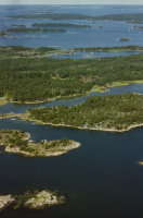 Jungfruskär