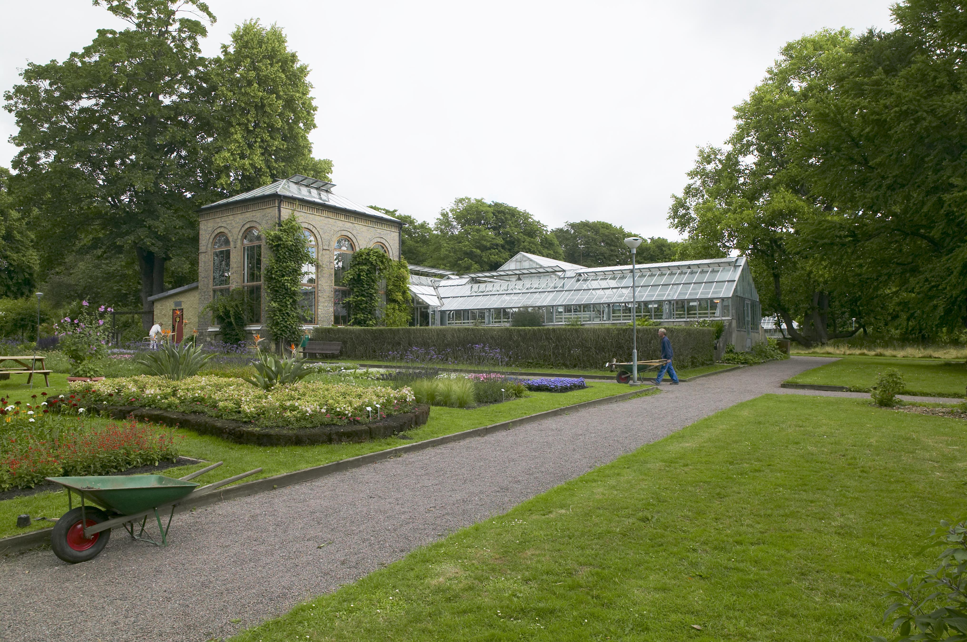 Bengt A Lundberg, Botaniska trädgården i Lund