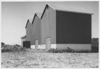 Gualövs socken, tobaksodling