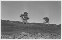 Jörlanda socken, hedar