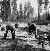 Järnskog, Hedsågens kyrkplats, Yxsjölinna