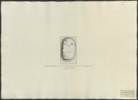 Stora Kopparbergs grufwefält, affattadt år 1802..[Kartografiskt material]